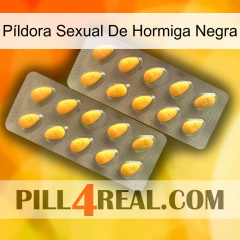 Píldora Sexual De Hormiga Negra cialis2